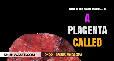 Understanding Placental Waste: What is the Discarded Material Called?