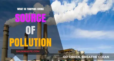 Tianying: Uncovering China's Pollution Source