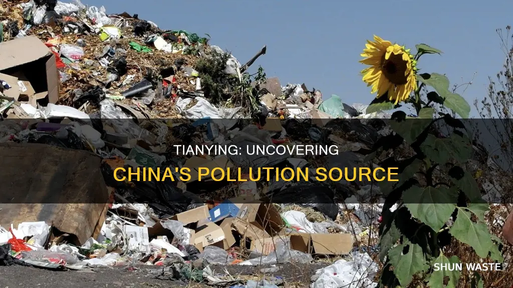 what is tianying china source of pollution