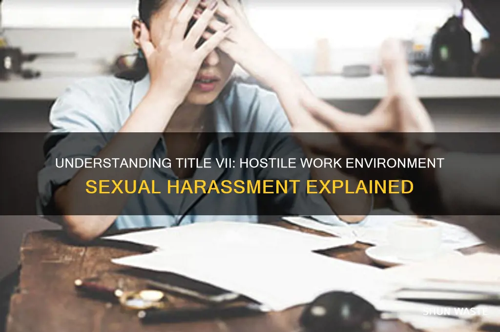 what is title vii hostile work environment sexual harassment