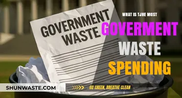 Unveiling the Biggest Government Waste Spending: Where Tax Dollars Vanish