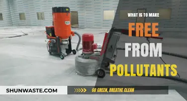 Purifying Our World: Freeing from Pollutants