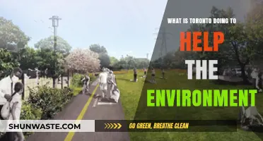 Toronto's Green Initiatives: How the City is Tackling Environmental Challenges