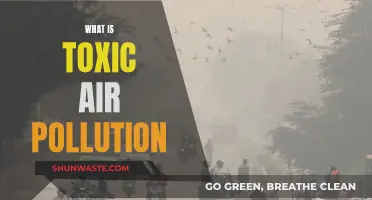 Air Pollution: Toxic Air's Devastating Impact