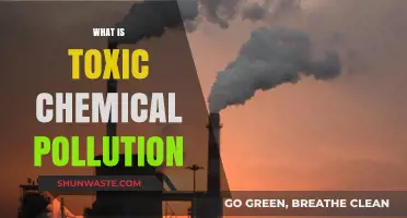 Toxic Chemical Pollution: A Dangerous Threat to Our Planet