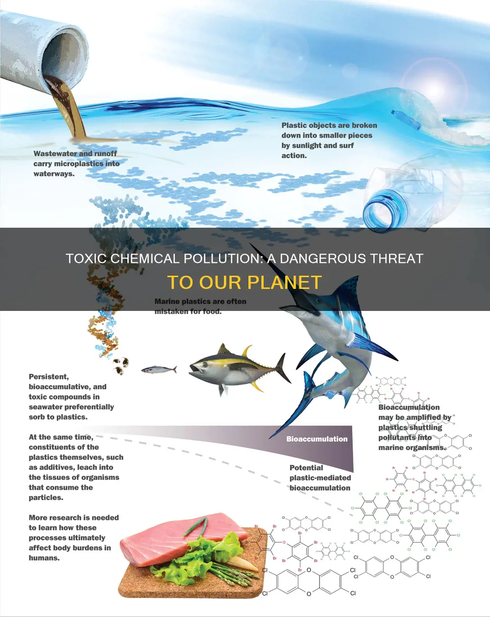 what is toxic chemical pollution
