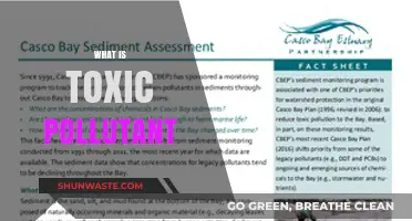 Toxic Pollutants: Understanding the Poisonous Threat