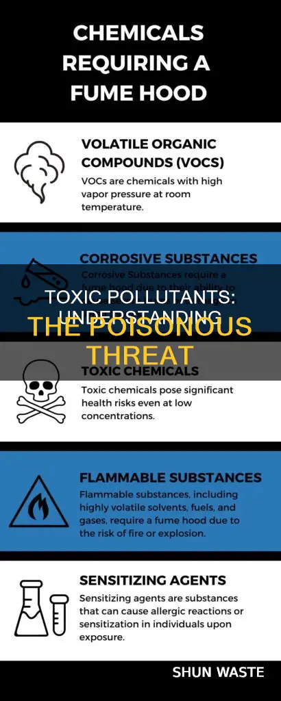 what is toxic pollutant