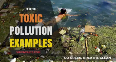 Toxic Pollution: Understanding Its Impact and Examples
