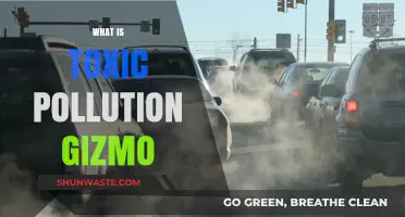 Gizmos and Toxic Pollution: Understanding the Impact
