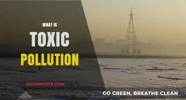 Toxic Pollution: Understanding the Poisonous Threat