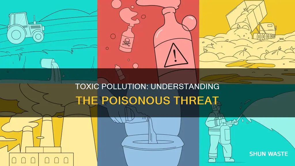 what is toxic pollution