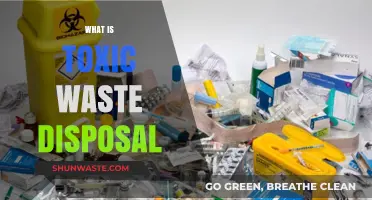 Safeguarding the Environment: A Guide to Toxic Waste Disposal
