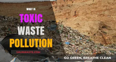 Toxic Waste Pollution: Understanding the Poisonous Threat