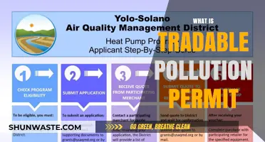 Understanding the Tradable Pollution Permit System