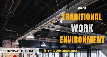 Understanding the Traditional Work Environment: Structure, Culture, and Dynamics