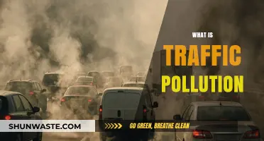 Traffic Pollution: Understanding Its Impact and Causes