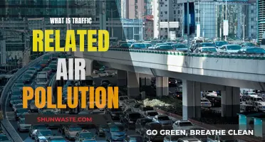 Traffic Air Pollution: A Deadly Problem