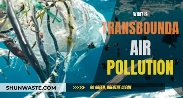 Transboundary Air Pollution: Global Impact, Global Action