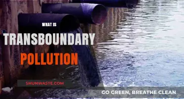Transboundary Pollution: Global Impact, Global Problem