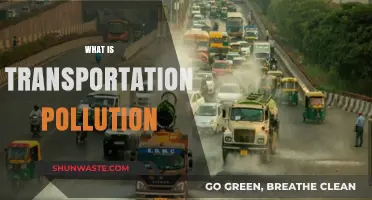 Transportation Pollution: Understanding Its Impact and Causes