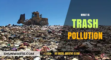 Trash Pollution: Understanding the Global Crisis