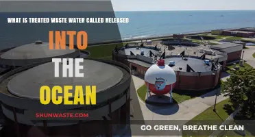 Treated Wastewater Released into the Ocean: Understanding Its Name and Impact