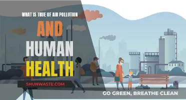 Air Pollution: Its Impact on Human Health