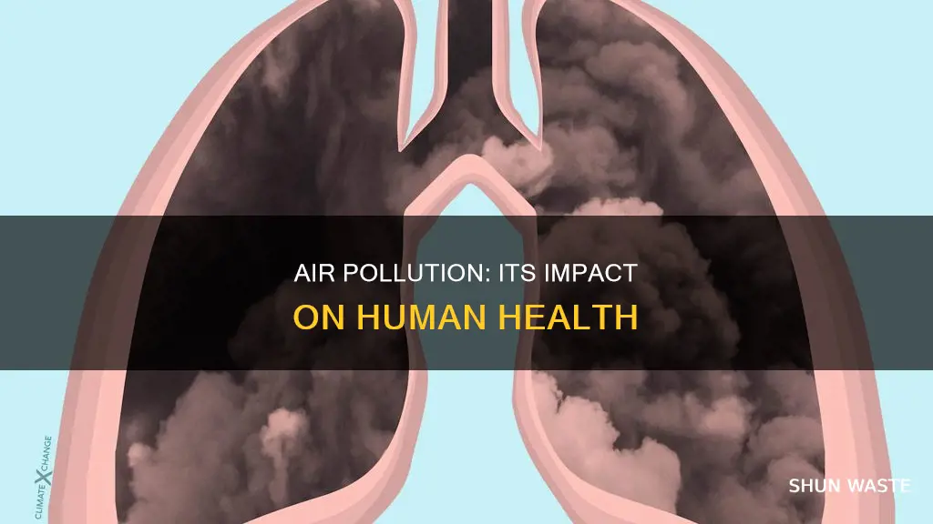 what is true of air pollution and human health