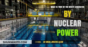 Nuclear Power's Waste: Understanding Its Nature, Risks, and Management