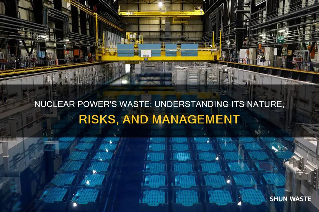 what is true of the waste generated by nuclear power