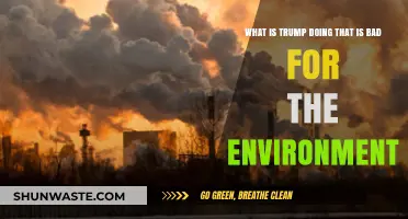 Trump's Environmental Policies: Harmful Impacts on Climate and Ecosystems