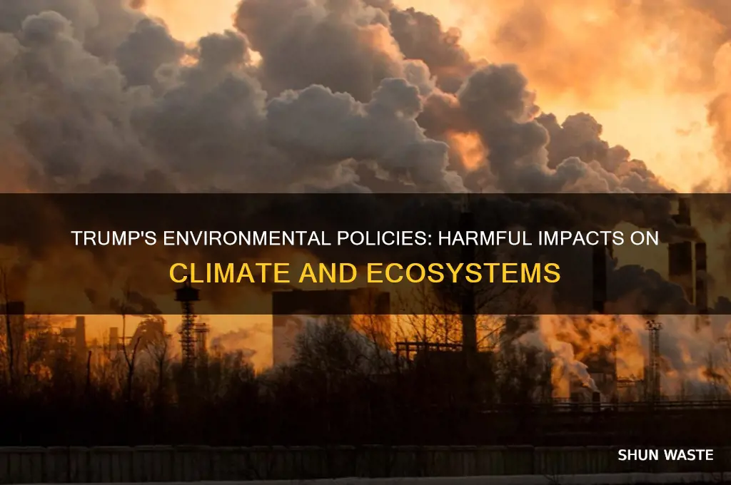 what is trump doing that is bad for the environment