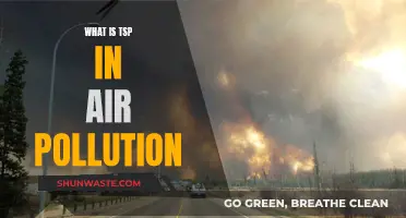 Air Pollution's TSP: Understanding Total Suspended Particulates