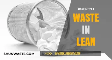 Understanding Type 1 Waste in Lean: Causes and Elimination Strategies