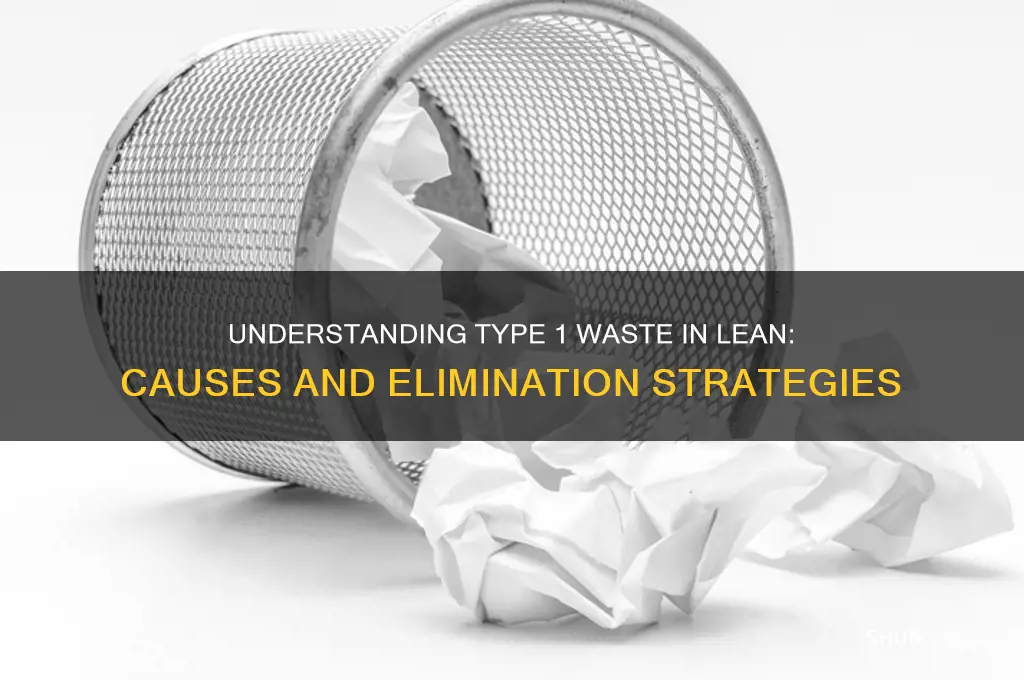 what is type 1 waste in lean