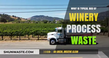 Understanding Winery Waste: Typical BOD of Process Byproducts Explained