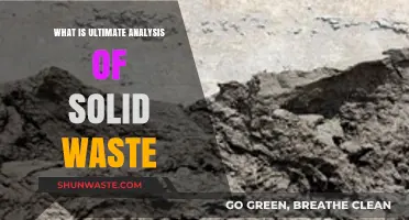 Ultimate Analysis of Solid Waste: Composition, Methods, and Environmental Impact