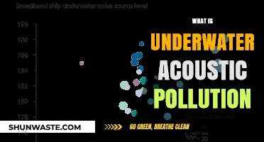 Underwater Noise: A Growing Threat to Ocean Life