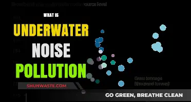 Underwater Noise Pollution: A Growing Concern for Marine Life