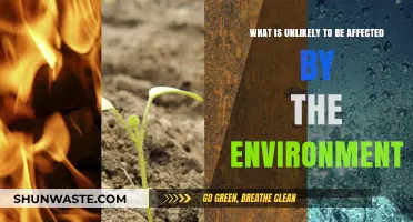 Unchanging Elements: What Remains Unaffected by Environmental Influences?