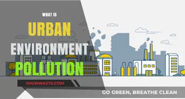 Urban Pollution: Understanding the Crisis