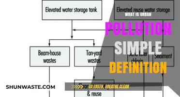 Urban Pollution: A Simple Definition and Its Impact