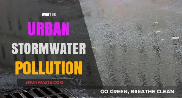 Stormwater Pollution: Urban Runoff's Dirty Secrets