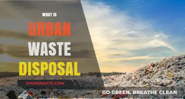 Sustainable Solutions for Urban Waste Disposal: A Comprehensive Guide