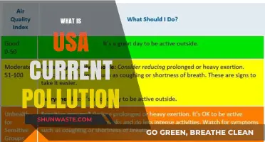 US Pollution: Current State and Trends