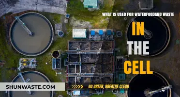Cellular Essentials: Water, Food, and Waste Management Explained