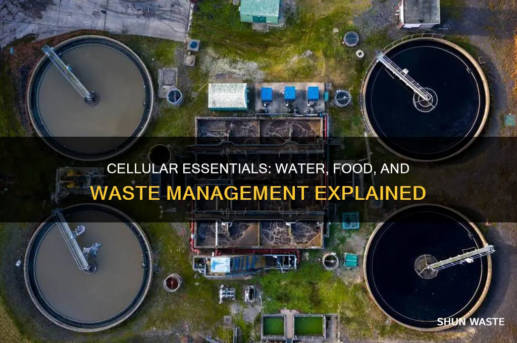 what is used for waterfoodand waste in the cell