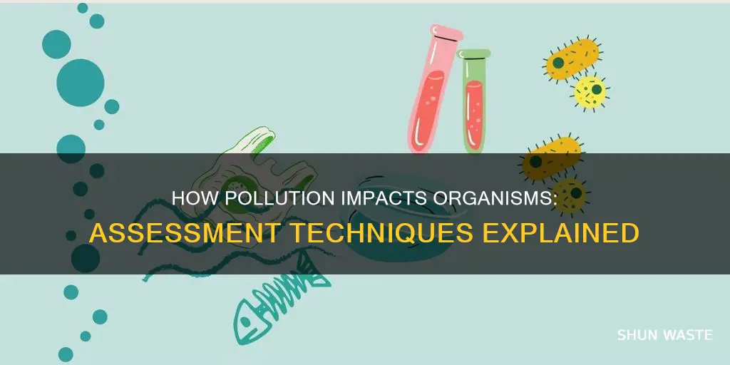 what is used to assess how pollutants affect organisms