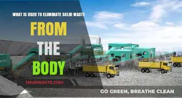 How the Body Eliminates Solid Waste: Key Processes Explained